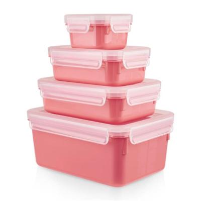 Masterseal Color 4'lü Set Pudra