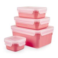Masterseal Color 4'lü Set Pudra